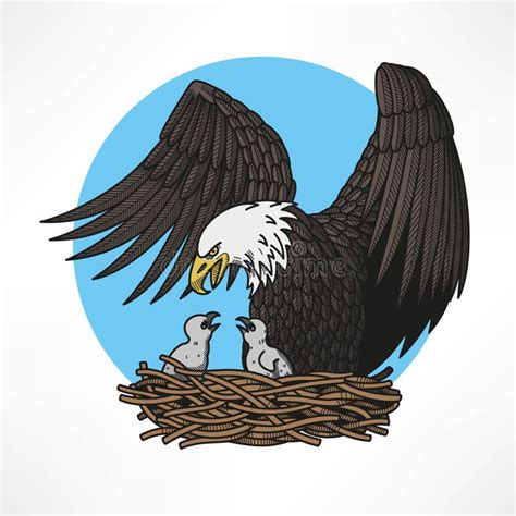 Eagle Nest Stock Illustrations – 1,861 Eagle Nest Stock Illustrations