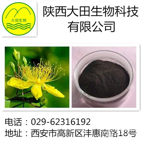 天然贯叶连翘提取物金丝桃素 甘肃 食品商务网