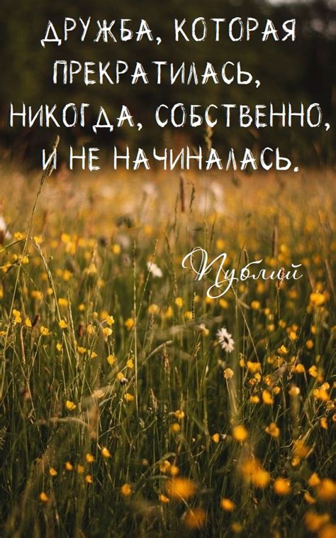 Красивые картинки с надписями про дружбу (40 фото)