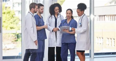 Melhores Faculdades De Medicina Veterinária Particular