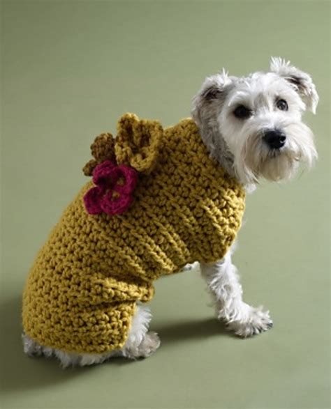 Ravelry: Flower Garden Dog Sweater pattern by Lion Brand Yarn