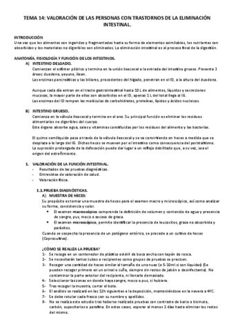 TEMA 14 2023 Adulto II J Pdf