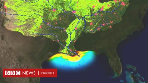 La Enorme Zona Muerta Que Resurgi En El Golfo De M Xico Y Puede