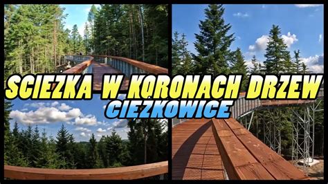 Cie Ka W Koronach Drzew Ci Kowice Treetop Walkway Ci Kowice