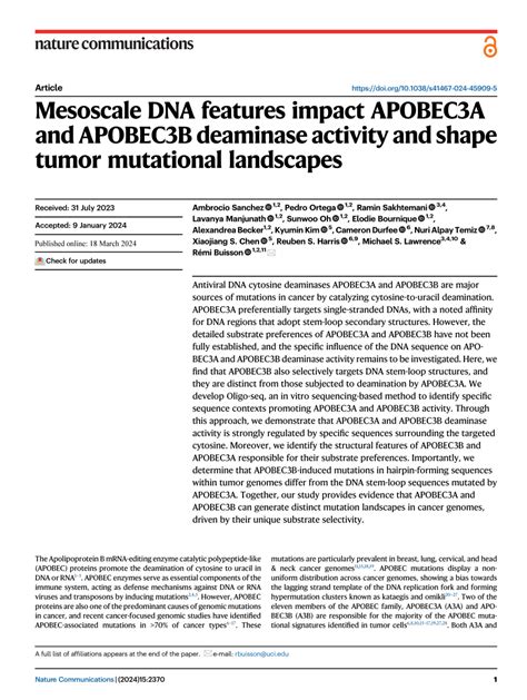 PDF Mesoscale DNA Features Impact APOBEC3A And APOBEC3B Deaminase