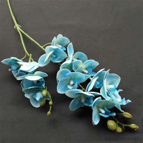 Orchid E Artificielle Bleu Turquoise Bouqueternel