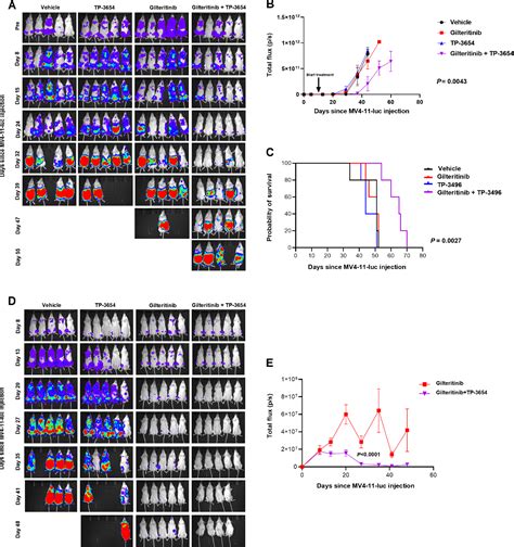 Figure 2 From Pim Kinase Inhibitors Increase Gilteritinib Cytotoxicity