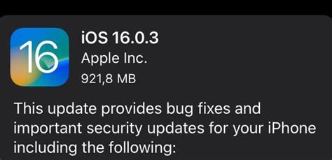 Apple Fixes New Iphone Dos Flaw In Ios 16 0 3