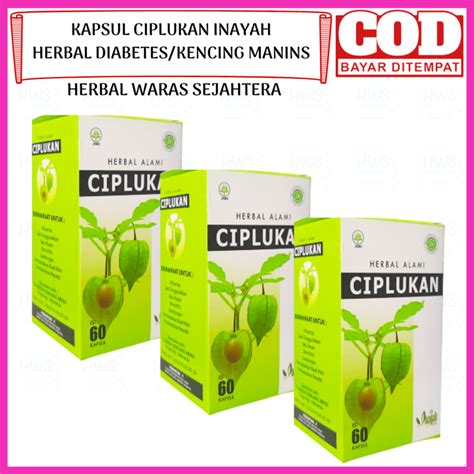 Paket Pcs Kapsul Ciplukan Kapsul Ekstrak Herbal Kesehatan Alam