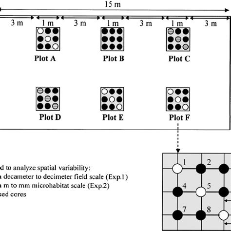 Soil core sampling scheme. | Download Scientific Diagram