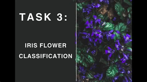 Task 3 Iris Flower Classification Codsoft Youtube