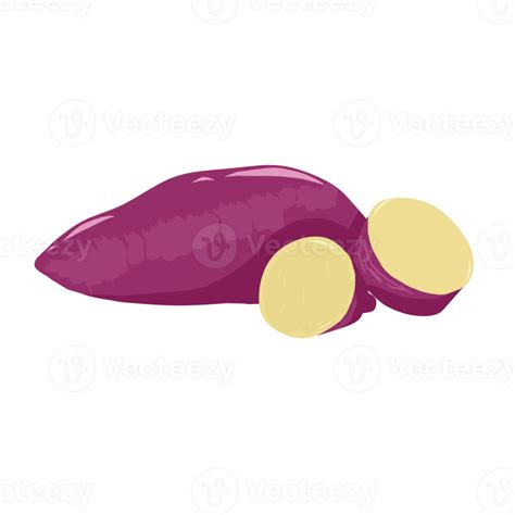 Illustration Of Whole And Sliced Purple Sweet Potatoes 23741847 Png