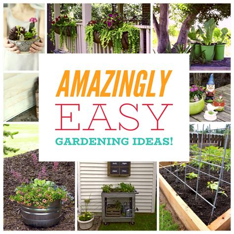 Absolutely Crazy Easy Diy Gardening Ideas You Must Try