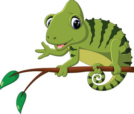 Cartoon Cute Chameleon Stock Photos VectorHQ