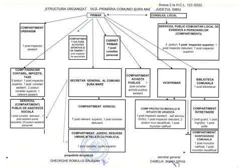 Organigrama Primaria Comunei Șura Mare