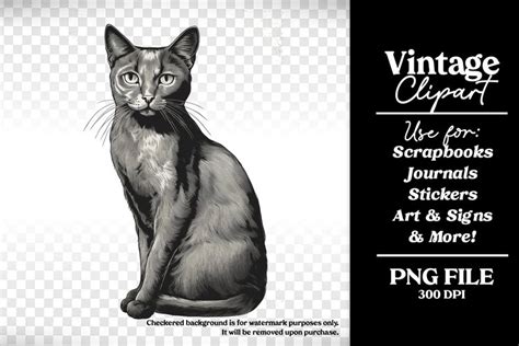 Vintage Black Cat Halloween Clipart