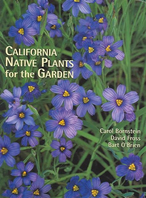 California Native Plants For The Garden Tree Of Life Nursery