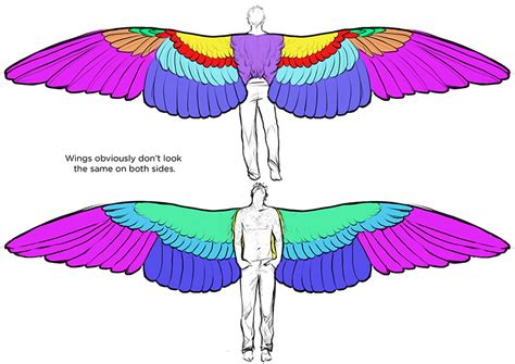 Human Wings Drawing Reference