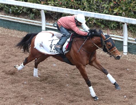 【京都牝馬s】イベリスが栗東・坂路で51秒6 角田調教師「楽に動けていた」 Umatoku 馬トク