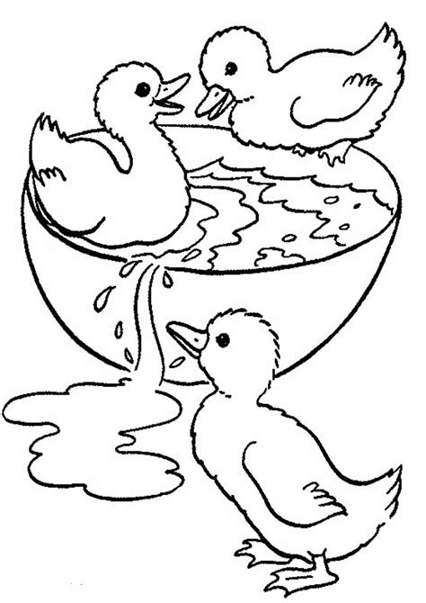 Duck Coloring Pages Printable - prntbl.concejomunicipaldechinu.gov.co