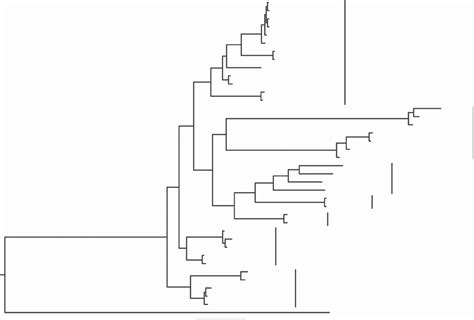 Phylogenetic Relationships Of Bryoria Species Used In This Study