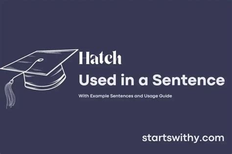 HATCH in a Sentence Examples: 21 Ways to Use Hatch