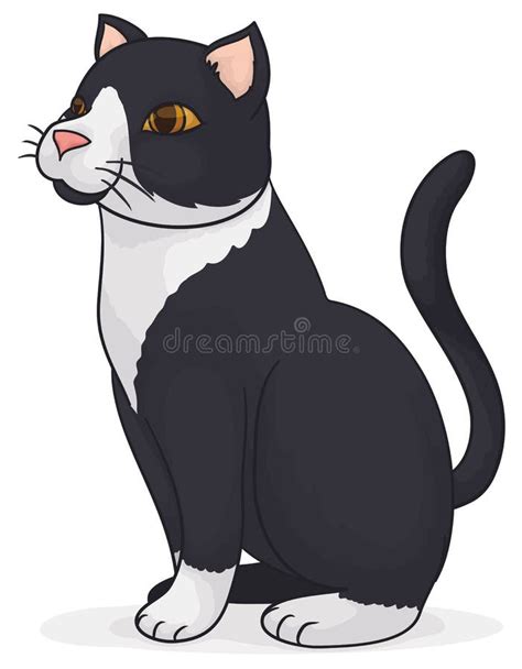 Elegant Black And White Cat Seated Vector Illustration Stock Vector