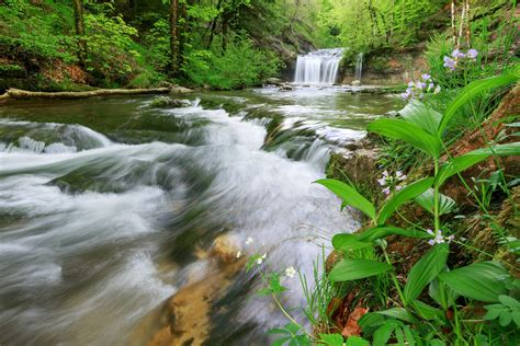 Cascades Du H Risson Visite Itin Raire Randonn E Jura Tourisme