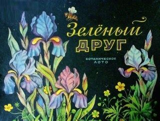 Ботаническое лото — 3 ответов | форум Babyblog