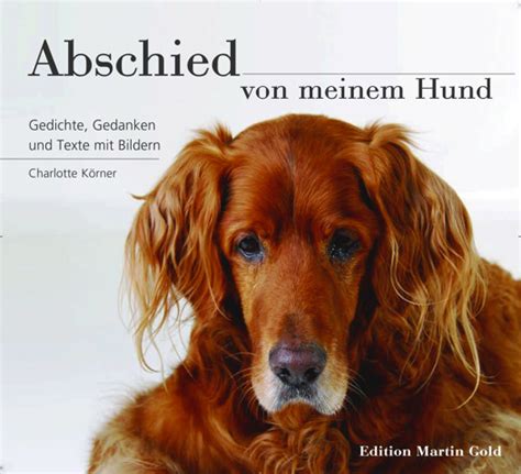 Abschied Von Meinem Hund Gedichte Gedanken Und Texte Mit Bildern