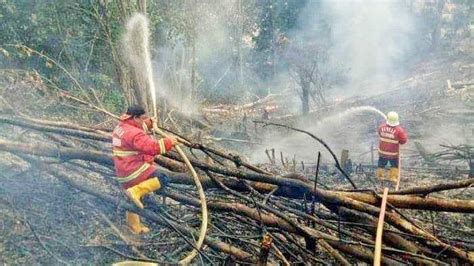 Titik Panas Terdeteksi BMKG Di Sebagian Wilayah Kaltim Warga Diimbau