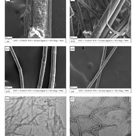 Sem Micrographs Of Tensile Fracture Surfaces Of A Neat Epoxy B