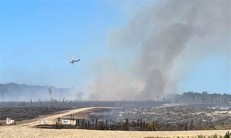 Forests under siege by daily arson attacks - Glasshouse Country & Maleny News