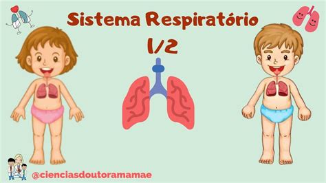 Sistema Respirat Rio Ano Fundamental Youtube