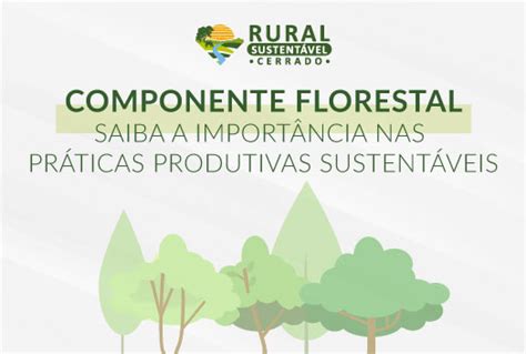 Saiba a importância do componente florestal nas práticas produtivas