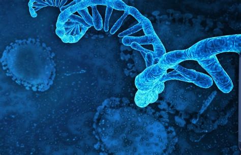 Singapore Scientists Win Wellcome Leap R3 mRNA Contract