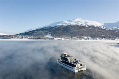 2024 Half Day Arctic Fjord Cruise from Tromso