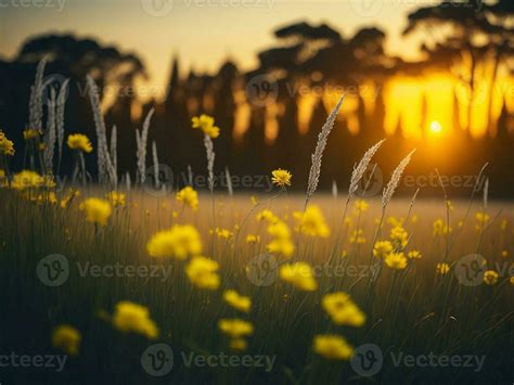 Ai Generated Abstract Soft Focus Sunset Field Landscape Of Yellow Flowers And Grass Meadow Warm