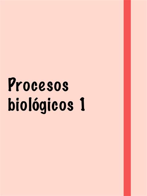 Procesos Biológicos 1 Pdf Replicación De Adn Rna