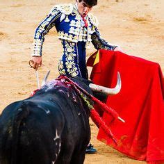 Bullfight Anger, Art Projects, Photographs, Breeds, Photos, Art Designs