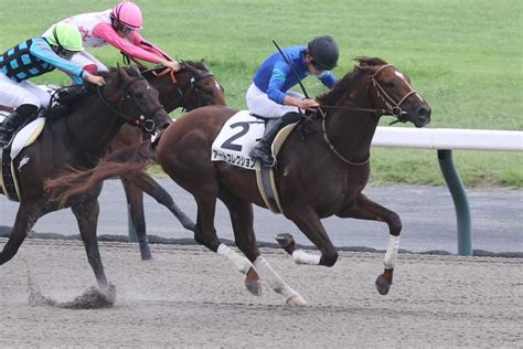 【2歳新馬・中京3r】アートコレクションが2馬身差の快勝｜競馬ニュース｜競馬予想のウマニティ