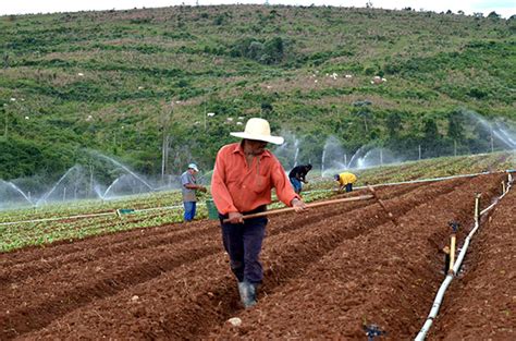 Secretaria De Agricultura Analisa O Mercado De Trabalho Rural Em Sp