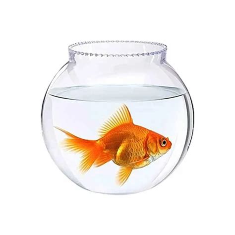 Transparent Glass Fish Bowl, Packaging Type: Box, Size: 6 Inch at ₹ 110/piece in Firozabad