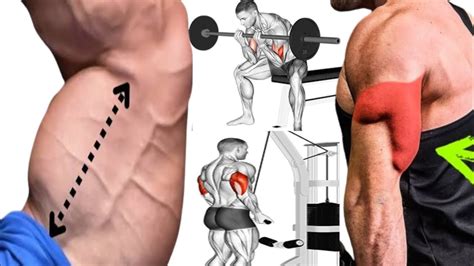 Best Bicep And Tricep Workout For Bigger Arms Youtube