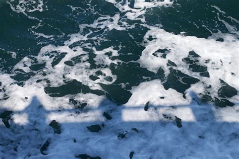 Безплатна снимка : море, сняг, лед, метеорологично време, арктичен ...