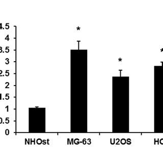 MiR 874 Regulates Osteosarcoma Cell Invasion By Repressing CDK9