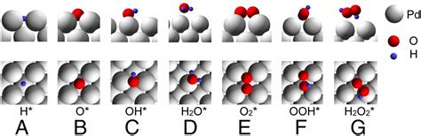 Active Sites And Mechanisms For H O Decomposition Over Pd Catalysts Pnas