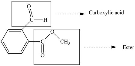 Circle And Identify The Functional Group In The Depicted Molecule