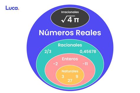 Cómo se clasifican los números reales Luca