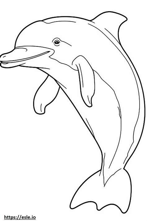 Bottlenose Dolphin Cute Coloring Page